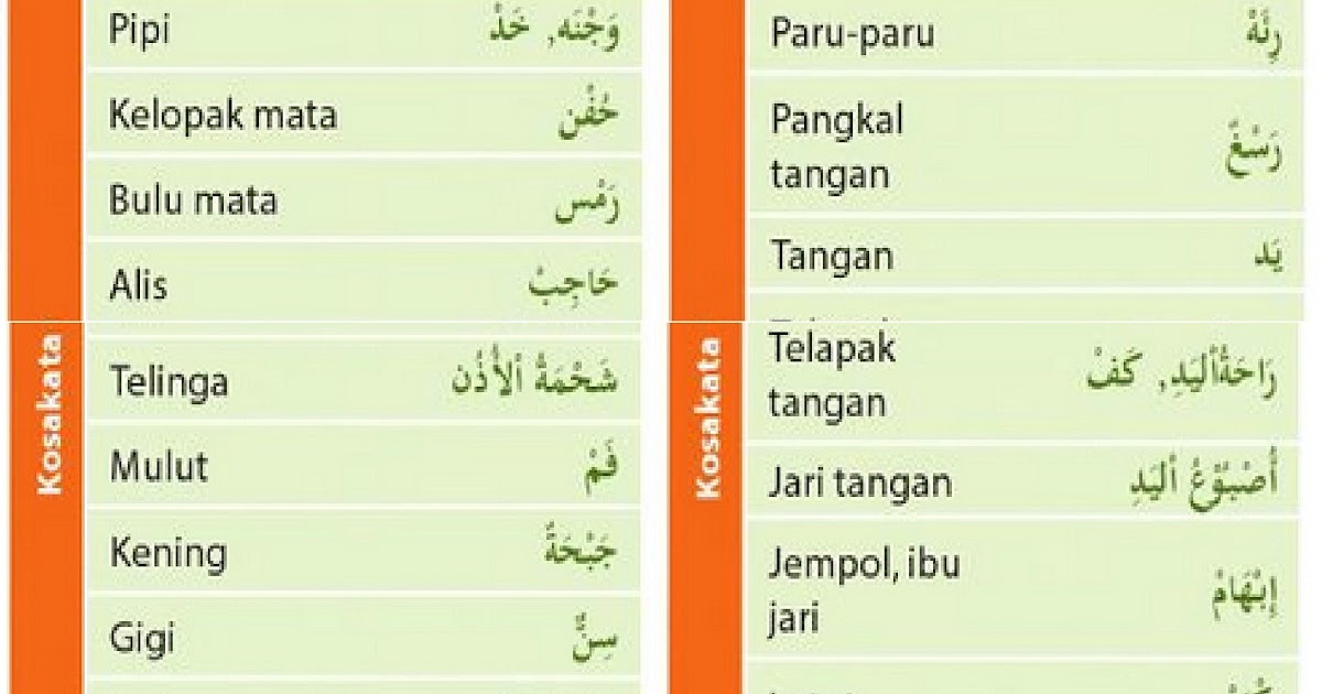 Berikut Alat Transportasi Dalam Bahasa  Arab Serta 