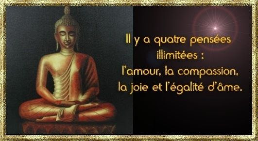 Citation Bouddha Mort