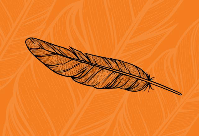 Feather on Orange