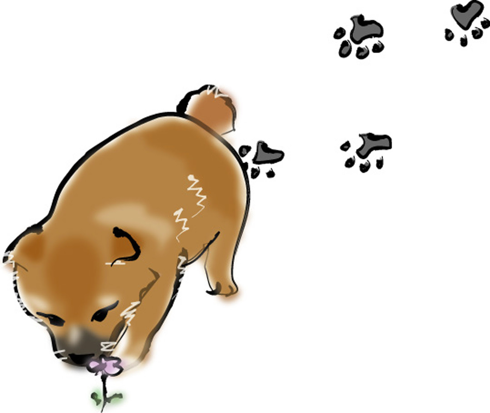すべての動物の画像 最高かわいい 犬 足跡 イラスト