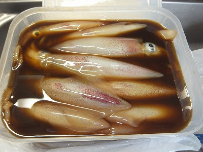 イメージカタログ 有名な 剣先 イカ 寄生 虫