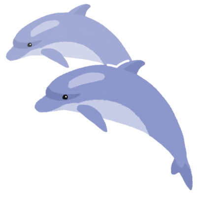 100以上 おしゃれ イルカ ショー イラスト