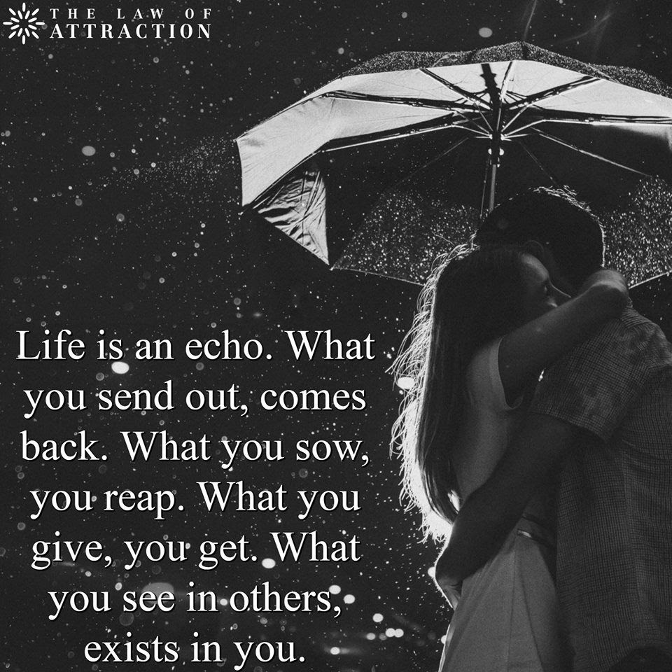Also read our previous articles 50+ top quotes about beauty sayings and pictures and best quote in life. Life Is An Echo Pictures Photos And Images For Facebook Tumblr Pinterest And Twitter