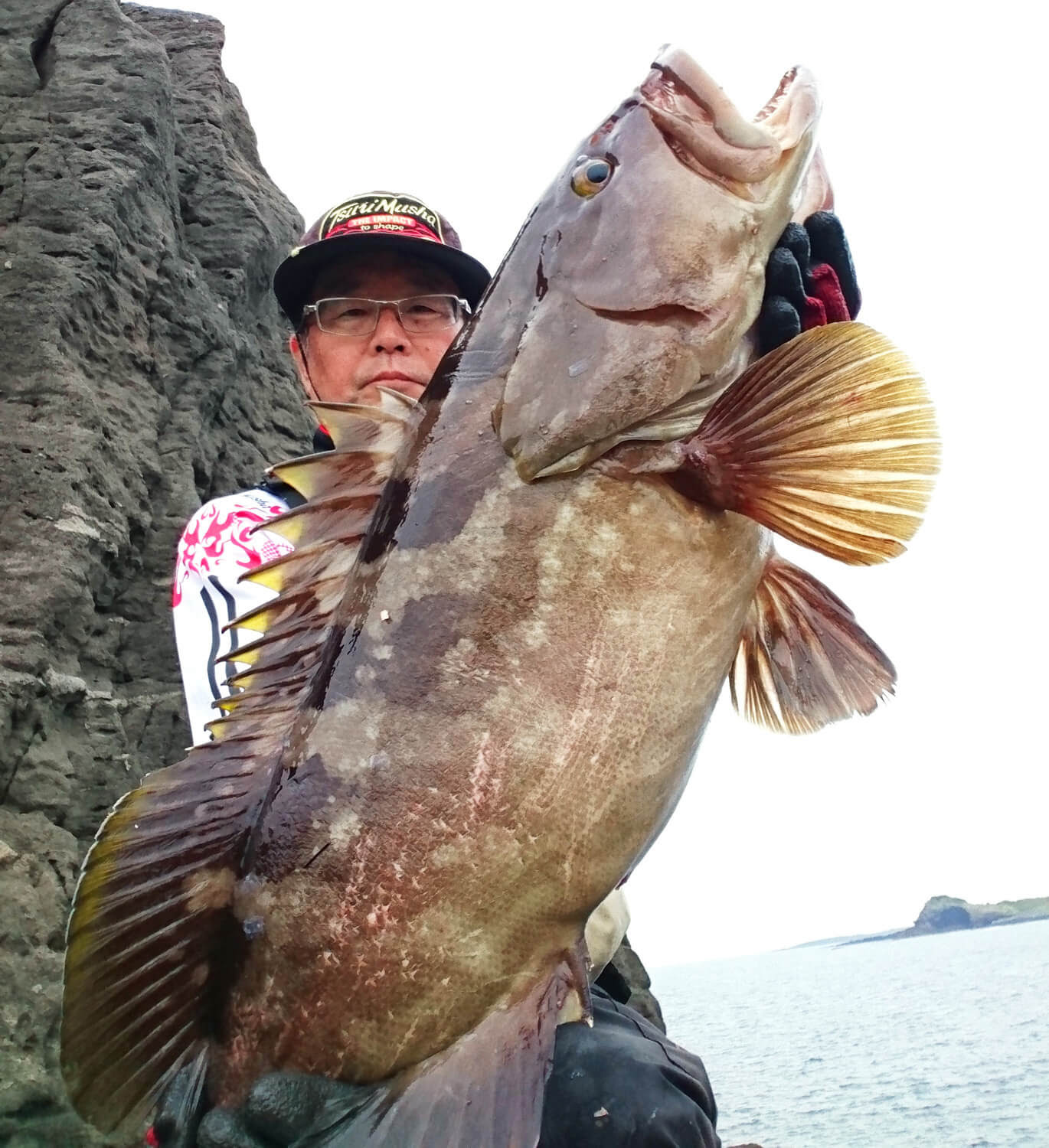ロイヤリティフリークエ 釣り 方 ルアー すべての魚の画像