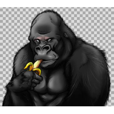 ディズニーブック 新鮮なリアル ゴリラ イラスト かっこいい