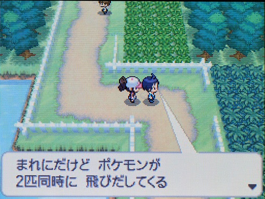 Netyasun ポケモン ブラック レポート