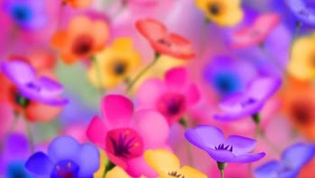 元の壁紙 おしゃれ 高画質 Pc すべての美しい花の画像