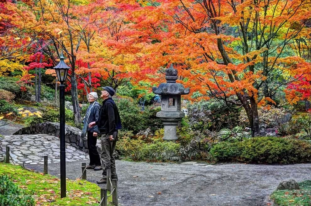 Autumn in Washington