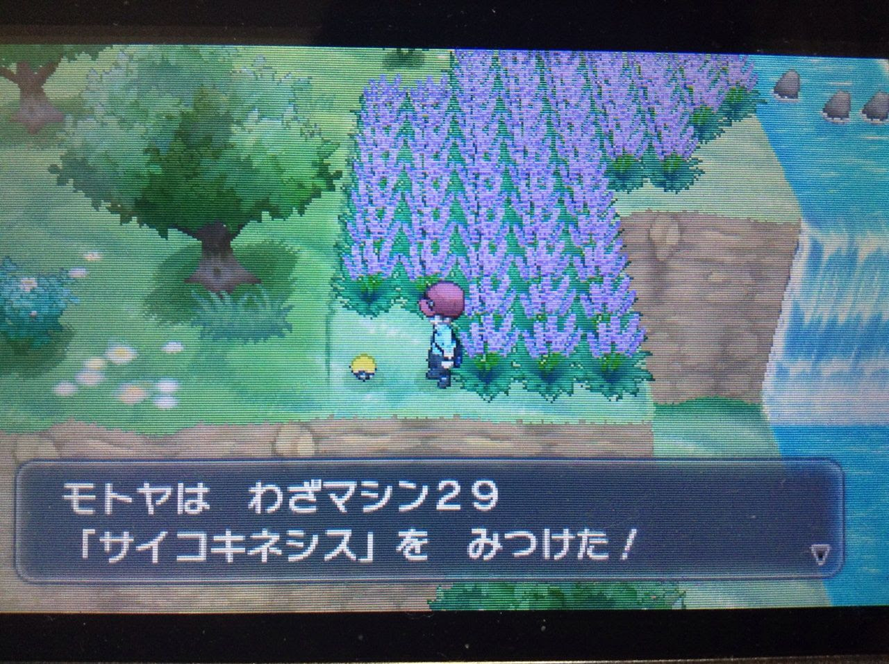 ポケモンxy 技 最高のイラストと図面