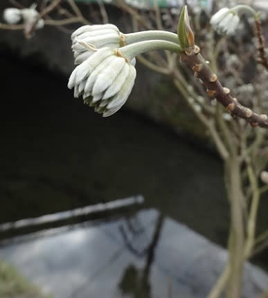 笑顔 幸せ 呼ぶ 英語