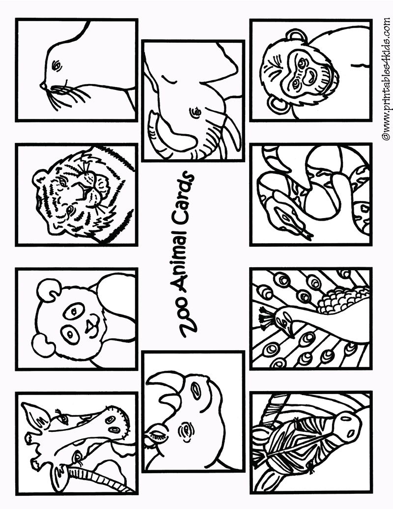 Zoo Animal Coloring Sheets And Pictures Coloring Pages