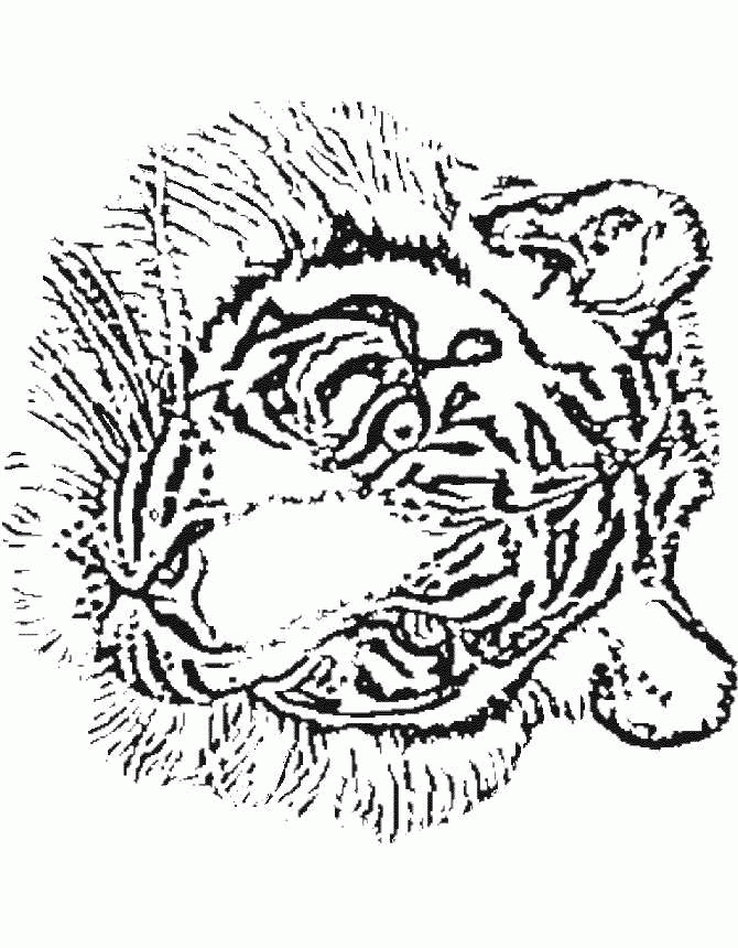 Print een dieren kleurplaat met veel details uitdagende kleurplaten. Kleurplaten Dieren Tijger