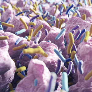 Artist rendering of intestinal villi (small finger-like projections) and gut bacteria.