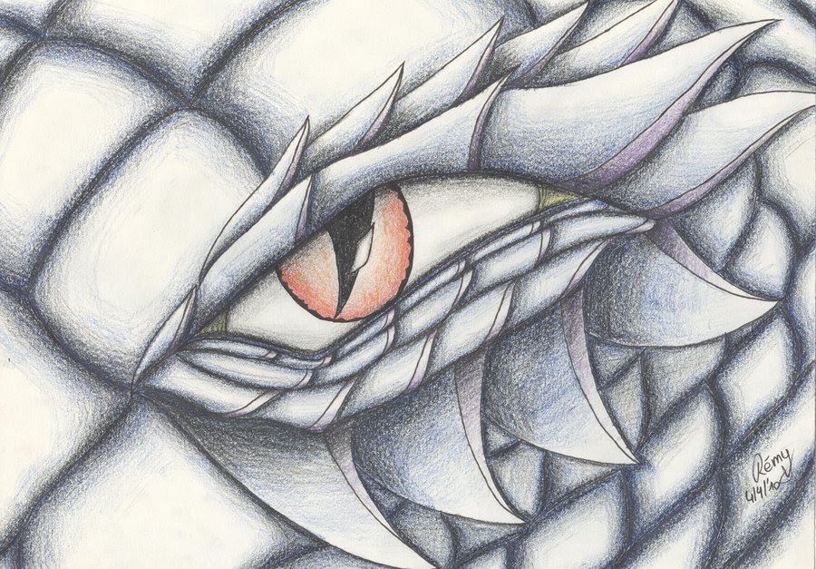 For beginners, you can start with the following steps for the body, draw some details that will either make your dragon drawing cute, fierce or cool. Free Dragons Drawings Download Free Dragons Drawings Png Images Free Cliparts On Clipart Library