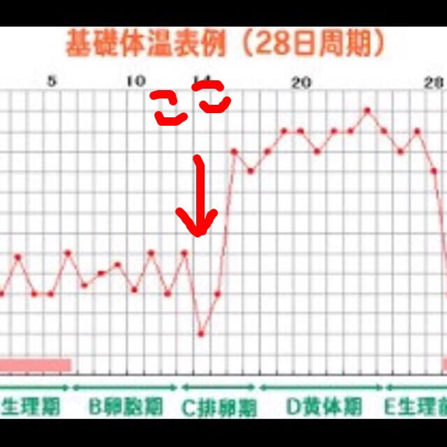 基礎 体温 下がっ た 妊娠 出来 た 高温期に基礎体温が下がっても妊娠の可能性はある Documents Openideo Com