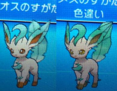 無料ダウンロードかわいい 可愛い 色 違い ニンフィア 無料イラスト集