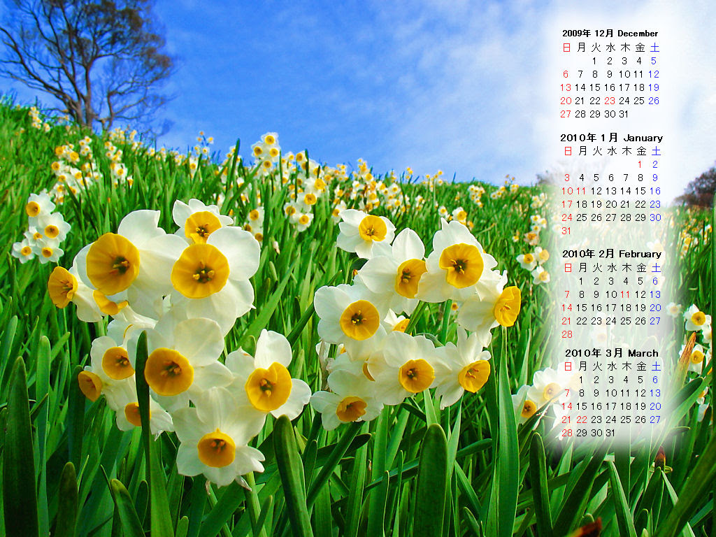 最も気に入った パソコン デスクトップ 壁紙 無料 花 Jpbestwallpaper