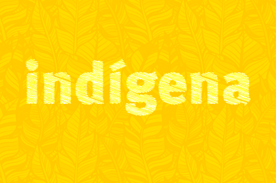 O banner amarelo tem ilustração de folhas na cor branca e contém a palavra indígena