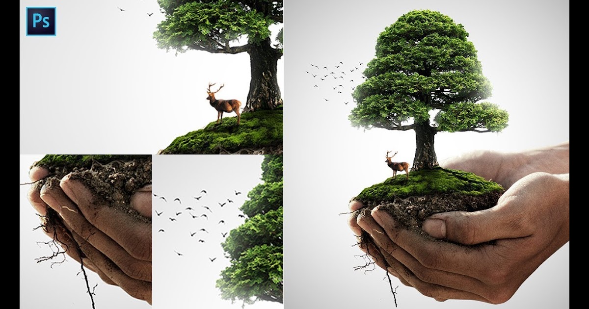 Gambar Poster Flora Dan Fauna