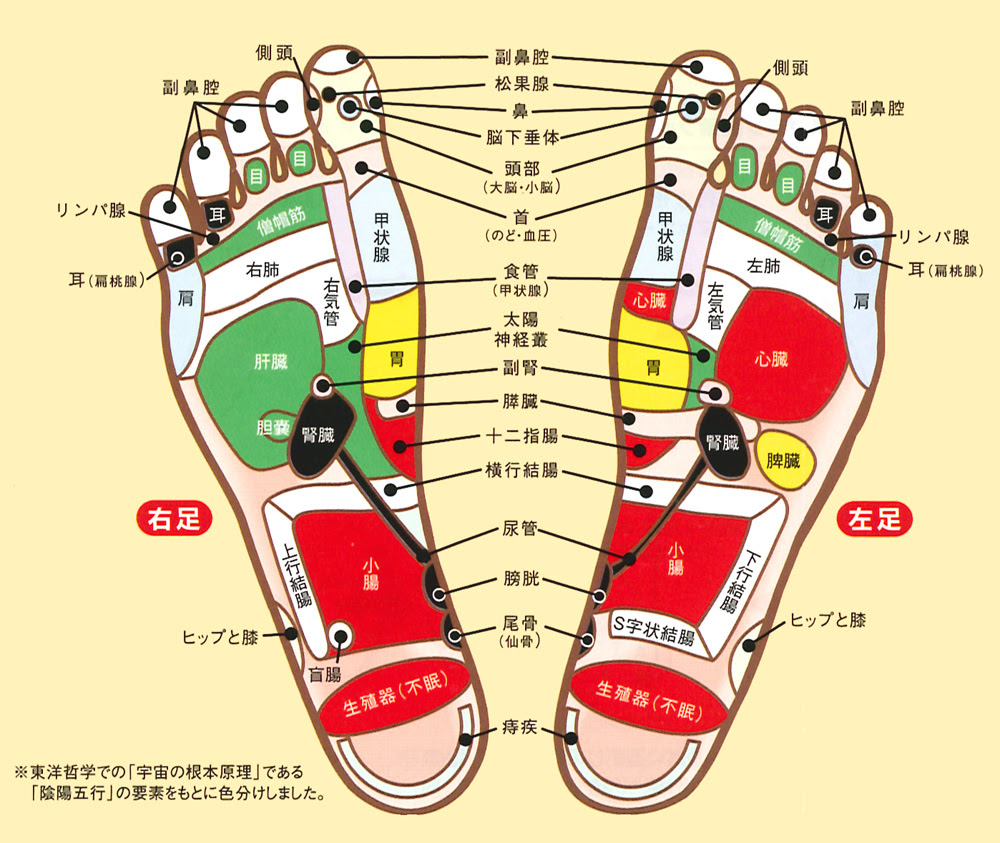 ファッショントレンド 驚くばかり足 つぼ 女性