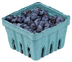 Blueberry-In-Pack.jpg