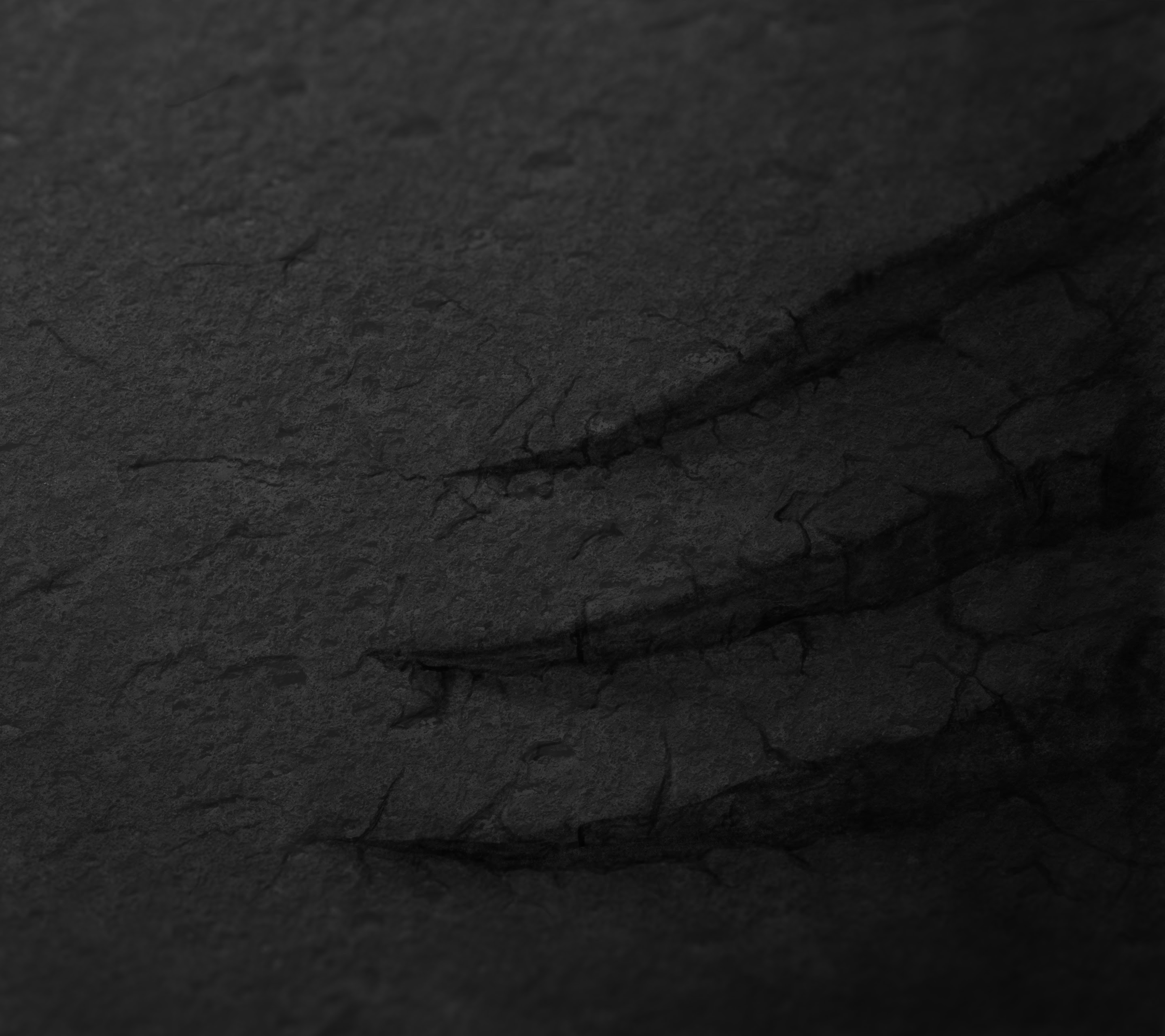 エレガントhtc 壁紙 美しい花の画像