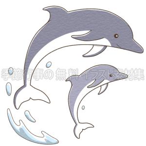 最新のhdイルカ イラスト 簡単 動物画像のすべて