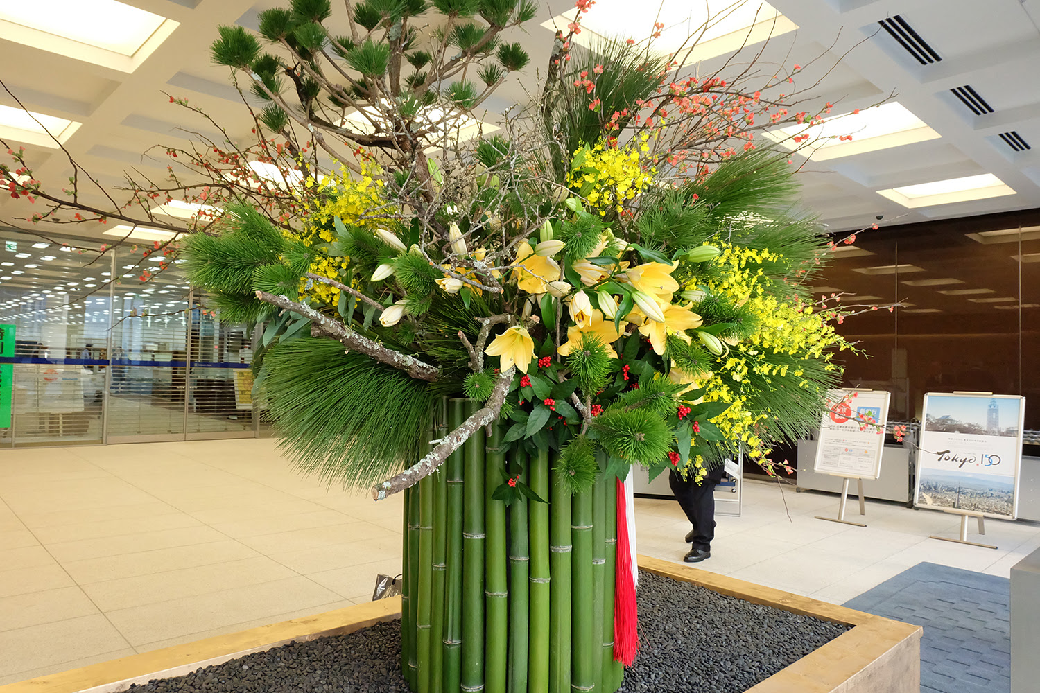 すべての美しい花の画像 最高フーガ 花