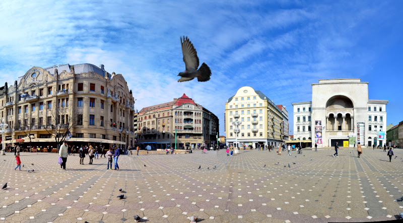 centru-timisoara-panorama