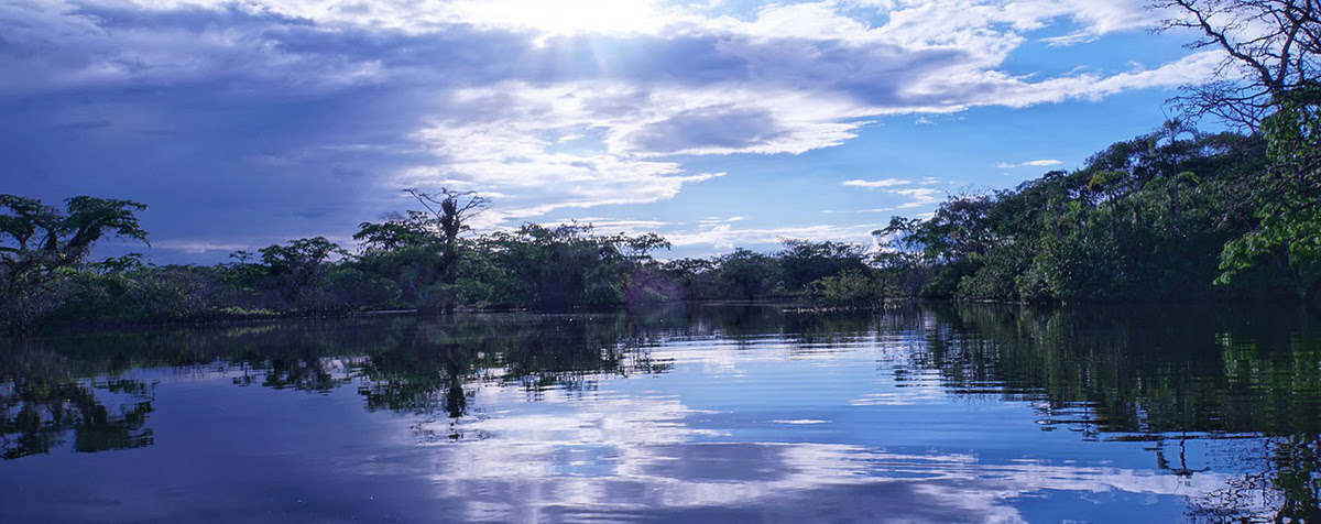 amazonia_equador_foto_pixabay_1200x400.jpg