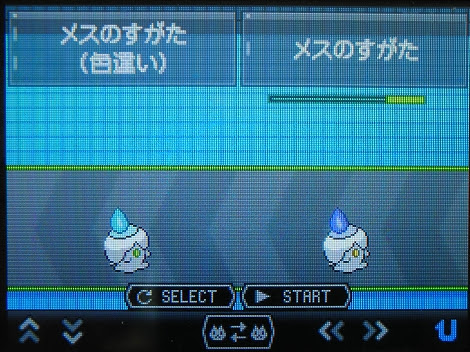 人気のコレクション ポケモン ブラック 2 色 違い 100 で最高の画像