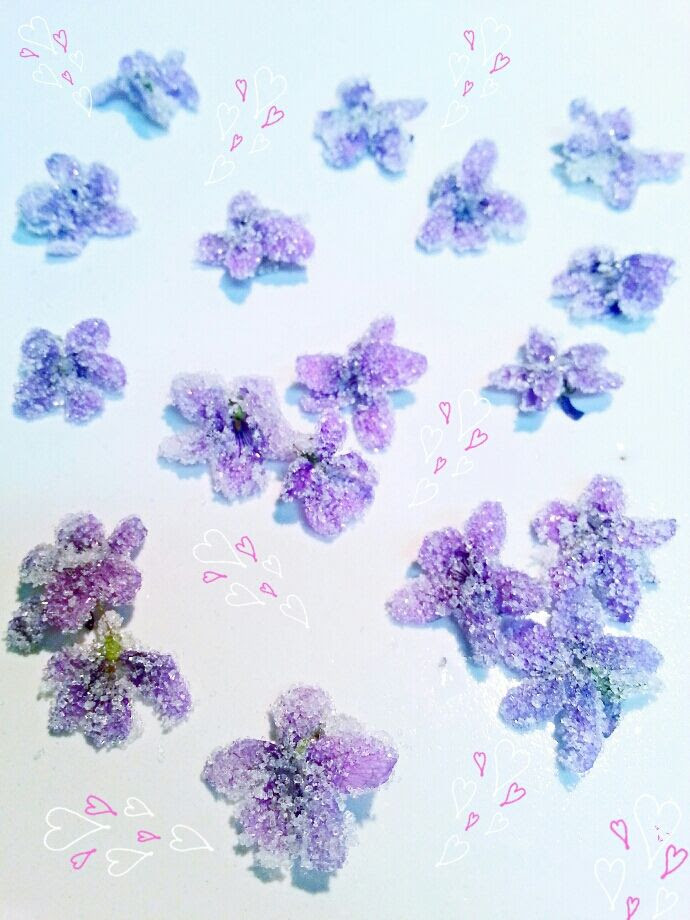 すべての美しい花の画像 エレガント花 砂糖漬け