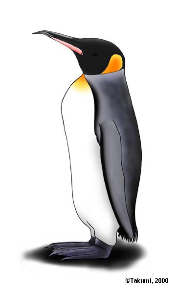 かわいい動物画像 無料ダウンロードペンギン イラスト リアル