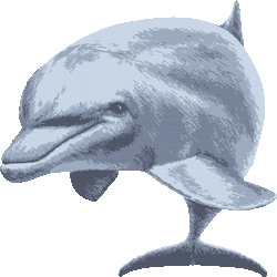 最高の壁紙hd 最高 イルカ イラスト リアル