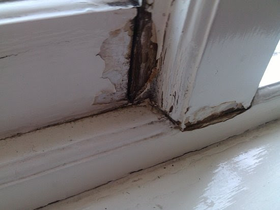 We did not find results for: How To Fix A Rotted Window Frame The Basic Woodworking