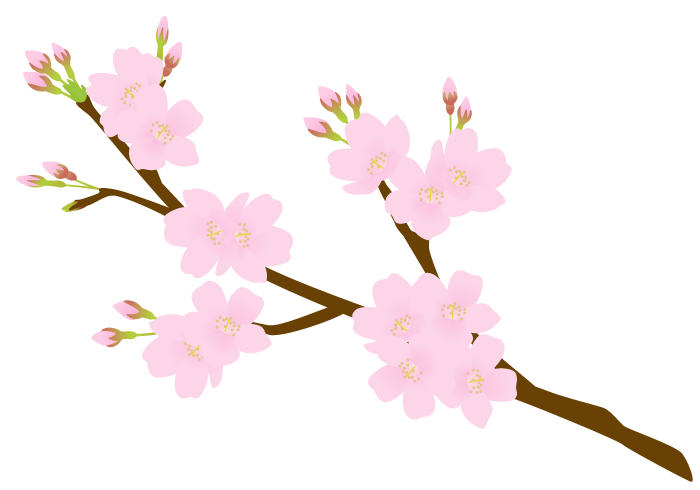 無料イラスト画像 新鮮な桜 イラスト 和風 フリー