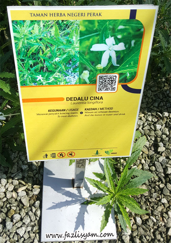 Pusat Perubatan Tradisional Cina - Kosong Kerji