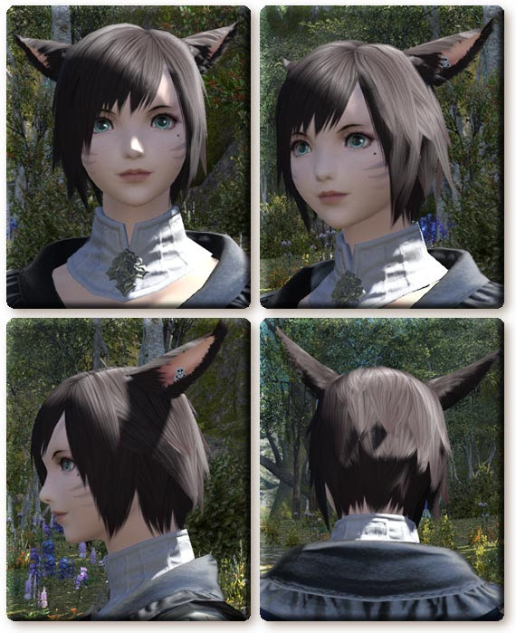 無料印刷可能 Ff14 髪型 一覧 ヘアスタイルギャラリー