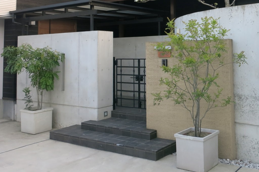 オリーブ 鉢植え 玄関 誕生 日 ライン 友達