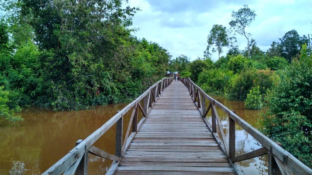 Baru 29 Gambar Jembatan Kayu