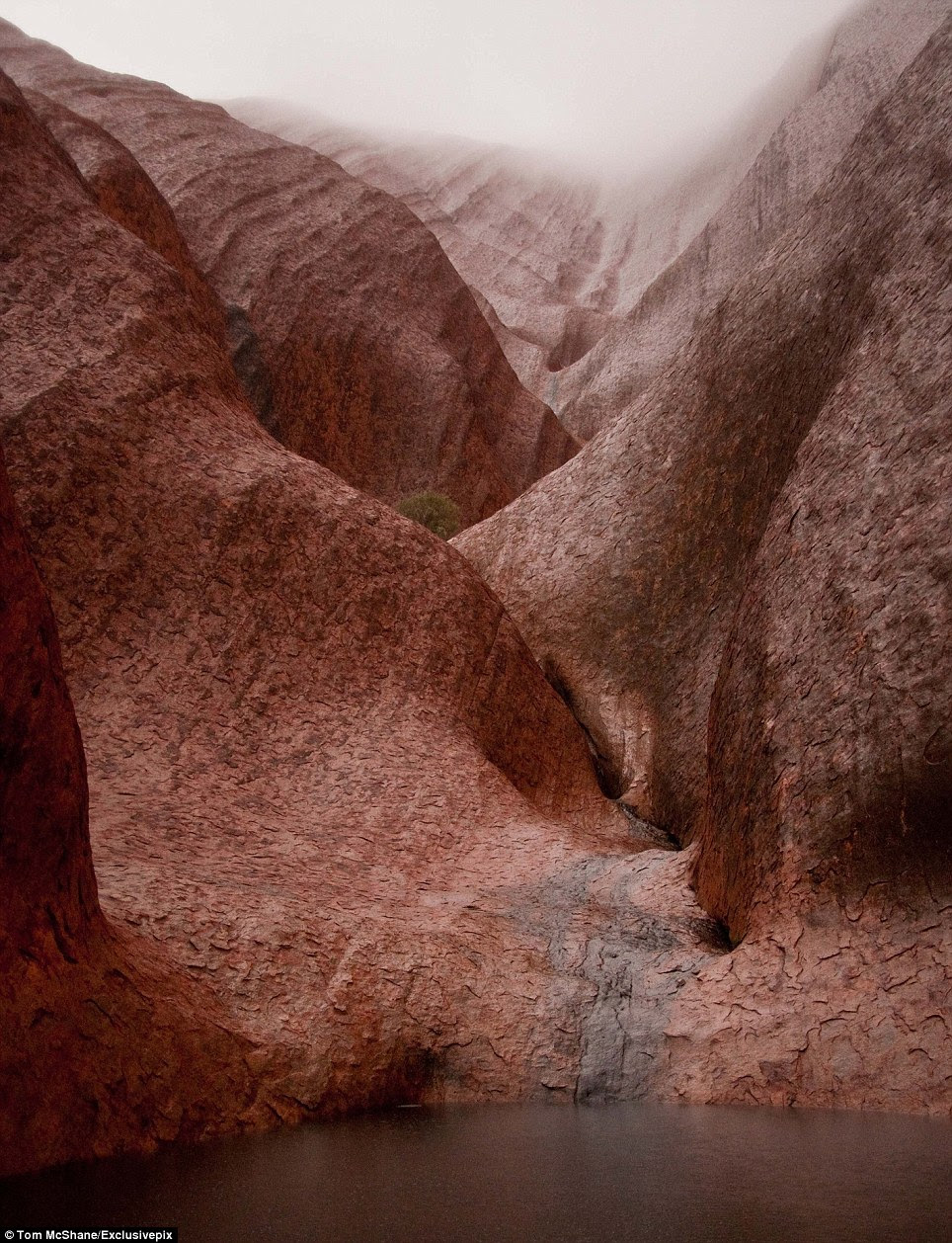 Anangu own all of Uluru and Kata Tjuta. The site is leased to Parks Australia and is jointly managed as a national park. This arrangement first came into place in October 1985