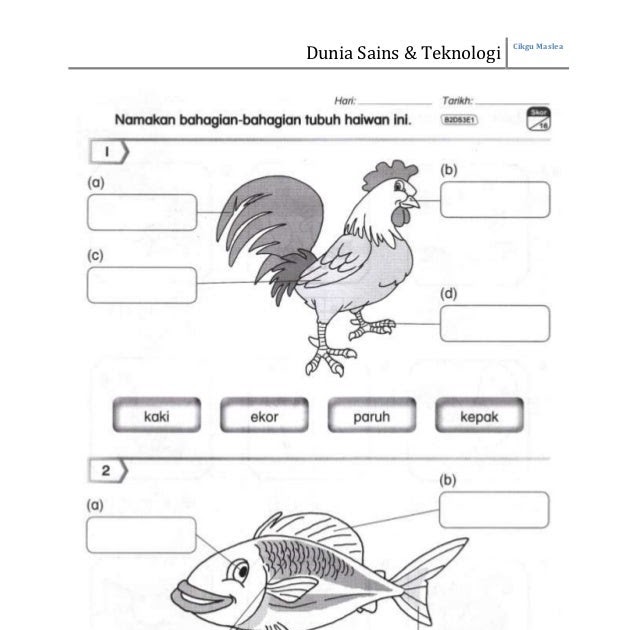 Contoh Soalan Ujian Jawi Tahun 6 - Terengganu w