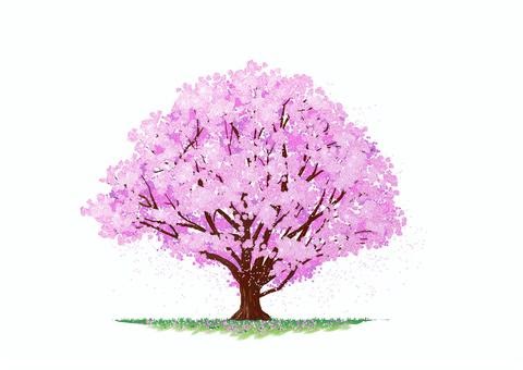 無料ダウンロード 桜吹雪 イラスト フリー Ai 桜吹雪 イラスト フリー Ai Apixtursaensgbo