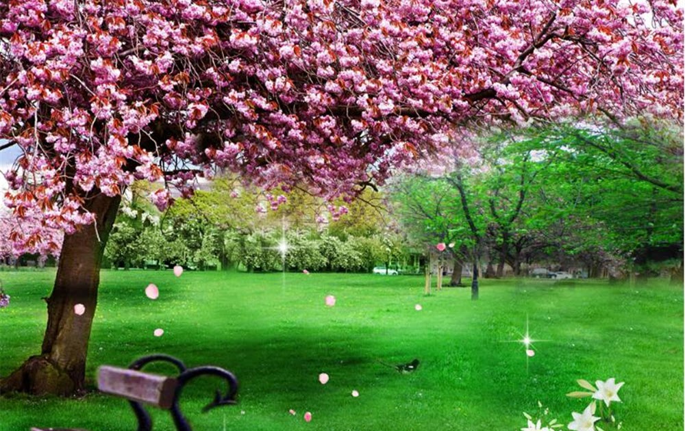 Paling Keren 12+ Gambar Wallpaper Taman Indah - Joen Wallpaper