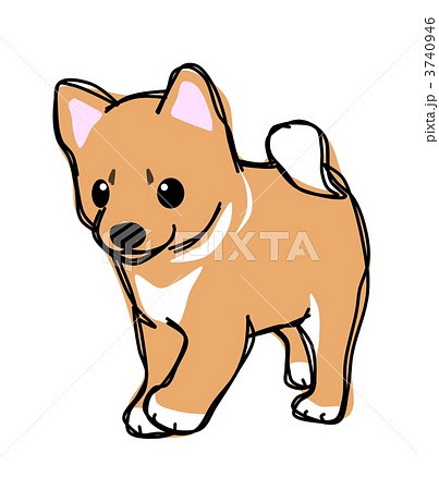 いろいろ いらすと かわいい 柴犬 犬 イラスト