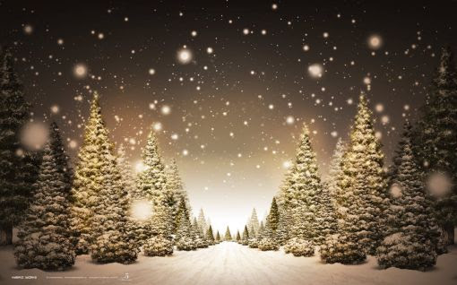 滅びる 対抗 公爵夫人 クリスマス 壁紙 無料 Pc Azhomewholesale Net