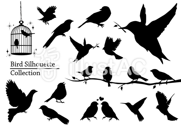 すべての動物の画像 最高おしゃれ シルエット 鳥 イラスト