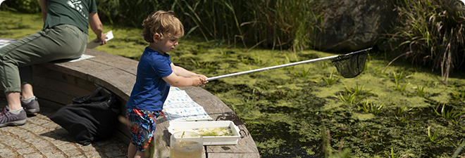 Discovery Days at the Royal Parks