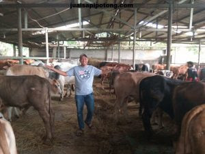 Jual Peternakan Sapi Tentang Kolam Kandang Ternak