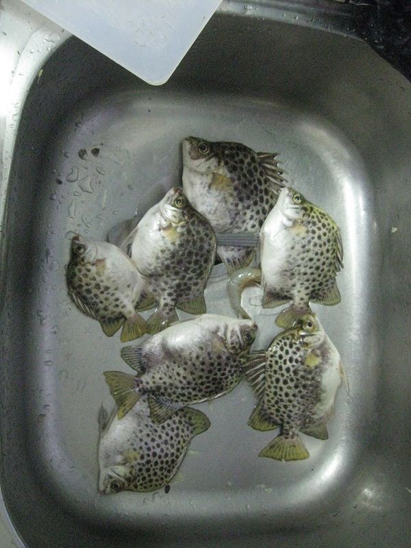 Ikan Kitangmasak ape best yer?? ~ Celoteh Mama Lutfi